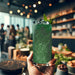 Dark Green Brew Glitter by the Case | Private Label-Brew Glitter®
