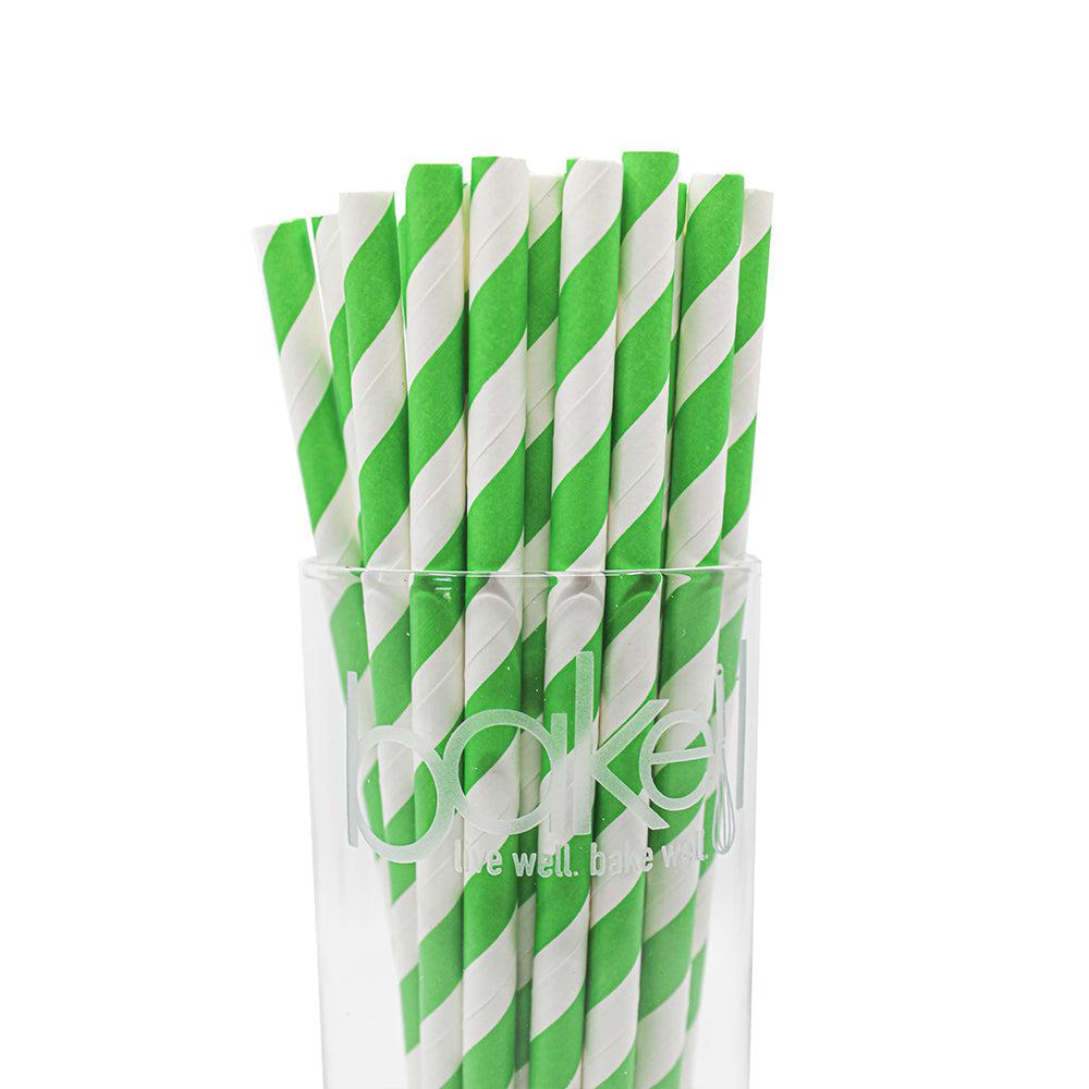 Cinco De Mayo Cactus Stirring Straw Swanky Pack (3 PC SET)-Brew Glitter®